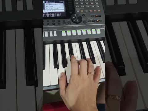 How to Play Chord for Lead Synth in Yamaha PSR S Series #micstanleyproduction #yamaha #psrs770
