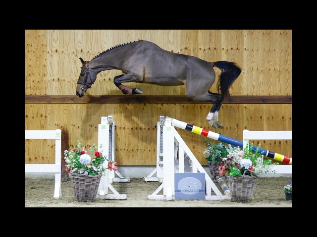 jumping under the saddle