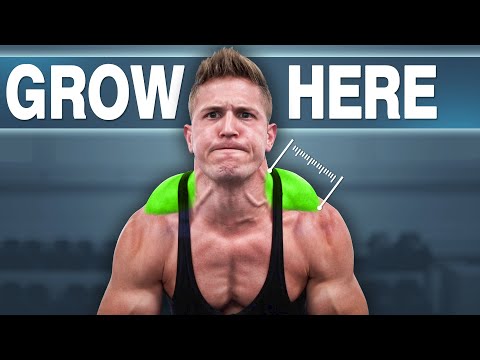 Muscular Strenght Title