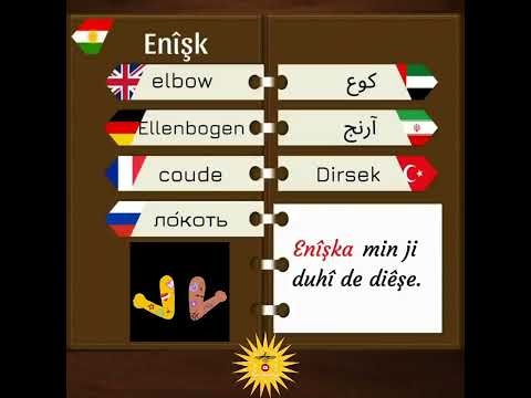 Peyvên Kurdî - Video 8 #zimanêkurdî