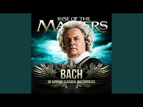 Double Concerto in C Minor for Oboe, Violin and Strings, BWV 1060: III. Allegro