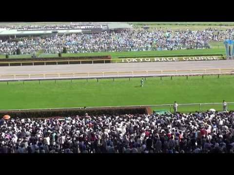 第81回　日本ダービー（G1）入場前