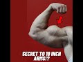 The Secret To 19 Inch Arms!