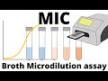 Broth Microdilution Assay How To Determine The MIC Minimum Inhibitory Concentration