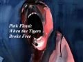 Pink Floyd: When the Tigers Broke Free 