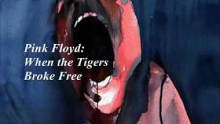 Pink Floyd: When the Tigers Broke Free