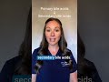 Bile Acids Explained