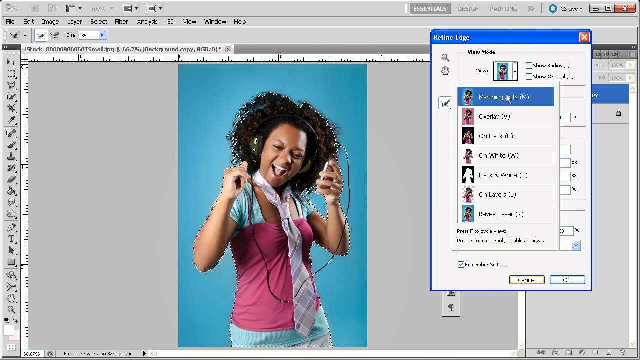 Selections and Masking Magic in Photoshop CS5 - video 3