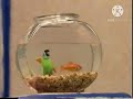 Elmo World Bird 2016