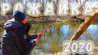Рыбалка динамо мытищи 2020