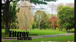 Sights & Sounds: Flying Fox Helihike, Fox Glacier