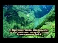 Сальман Аль Утайби - Сура "Прощающий" (эмоционально) 