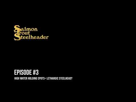 Salmon Trout Steelheader Podcast #3 "High Water Steelhead Spots + Lethargic Steelhead? Bite styles.