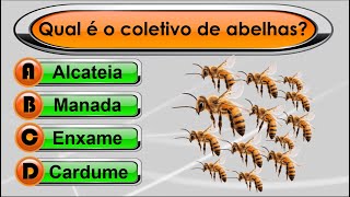 QUIZ VIRTUAL 95 | Perguntas de Conhecimentos Gerais com respostas! Faça o Teste!