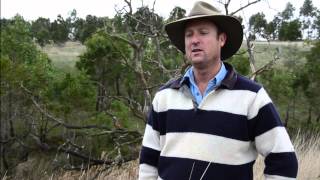 Generations of farming