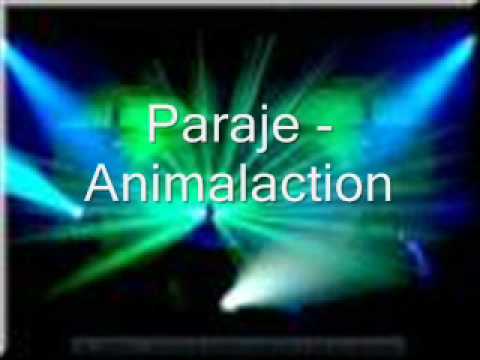 Paraje - Animalaction