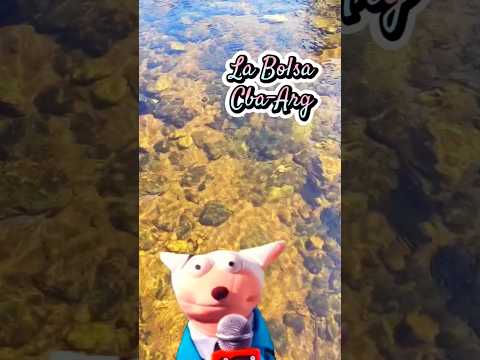 La dimensión misteriosa y desconocida... La Bolsa - Cba #travel #argentina #humor #cordoba