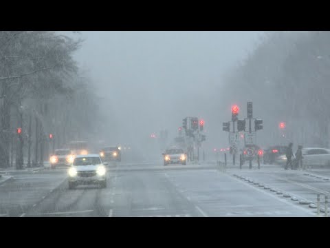 A blast of winter weather hit Washington, D.C. on Wednesday, closing federal offices and local schools, disrupting air travel, and making roads hazardous for motorists. Tourists, however, didn't seem to mind. (Feb. 20)