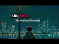 Guru Randhawa Tera Ishq Lofi Song Nushrat Bharucha Bhushan Kumar Full Song
