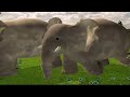 MLP Fan 2K4 S Magical Event 1 Animal Parade