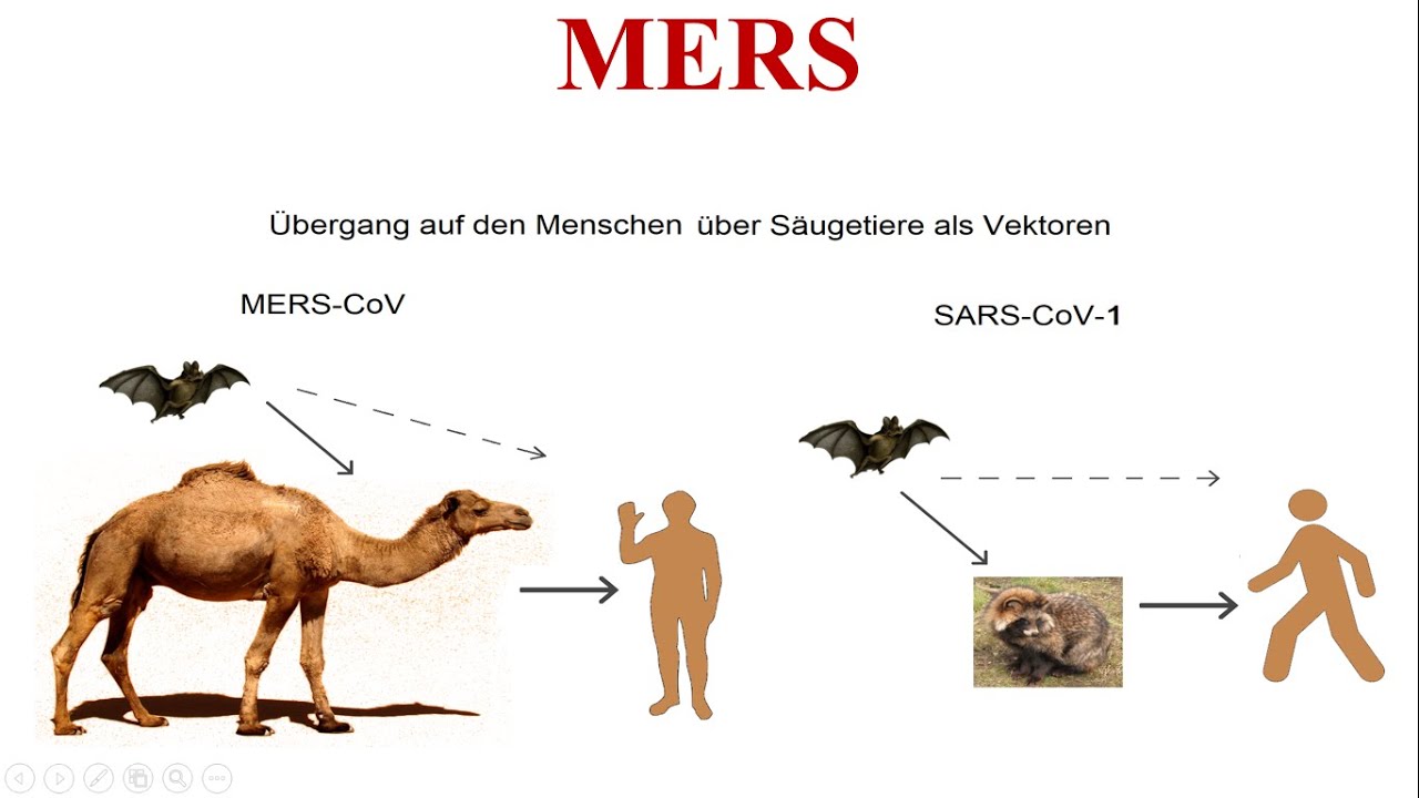 MERS || Middle East Respiratory Syndrome || MERS-CoV