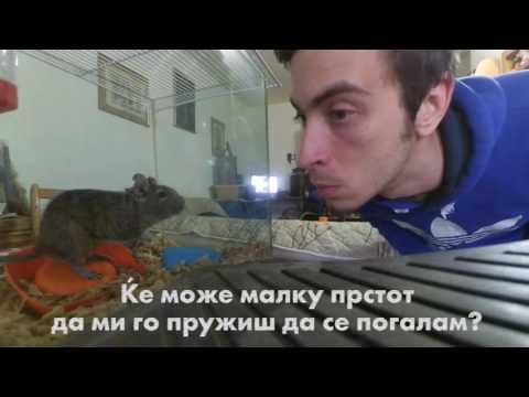 BobiBeatbox -  ( Q&A ) Prasanja i Odgovori #6