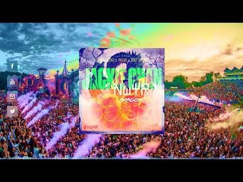 NWYR vs. Tiesto & Dzeko feat. Preme & Post Malone - Dragon vs. Jackie Chan (W&W Mashup)
