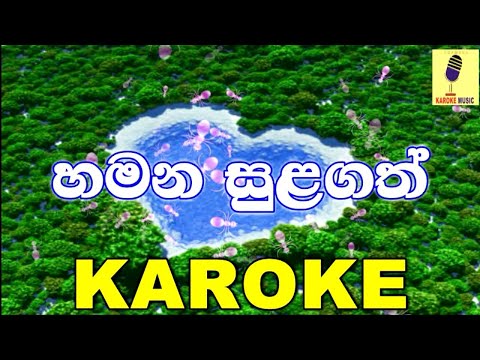 Hamana Sulagath Athi - Shahil Himansa Karaoke Without Voice