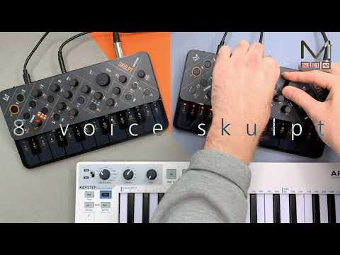 What does an 8-voice SKULPT sound like?