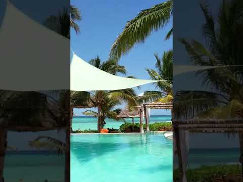 Aya Beach Resort - Zanzibar 🌴 #shorts #short #shortvideo #shortsvideo