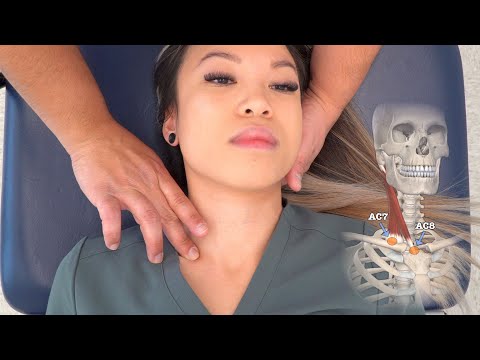 OMT: Counterstrain - Anterior Cervical (AC1-AC8)
