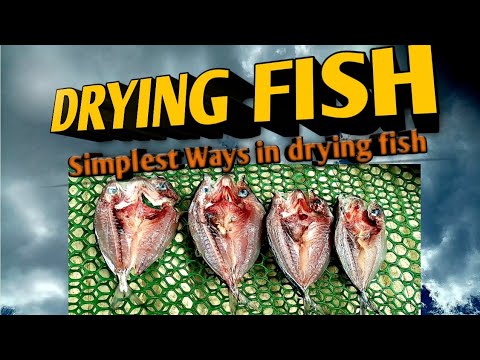 Drying Fish Process: Simplest way!