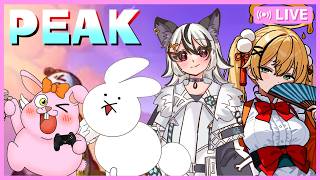 【Peak】5月のリベンジ登山【初見歓迎/#Vtuber】