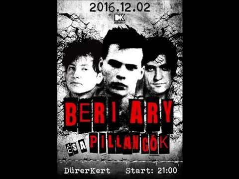 BERI ARY ÉS A PILLANGÓK : GOODBYE