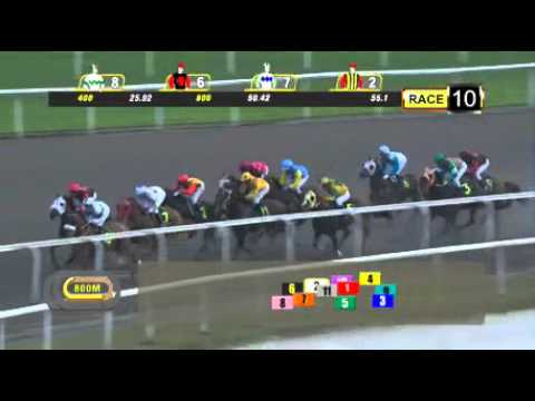 singapore horse - 10 Jan - Race 10 | 90agency.com