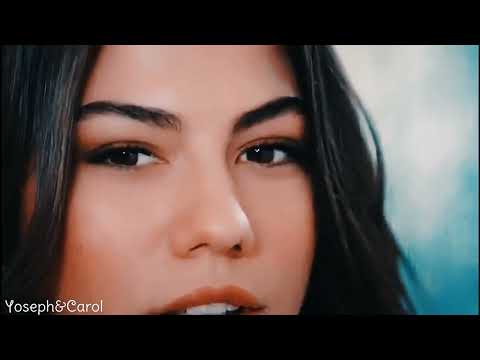 Take this love   Sérgio Mendes