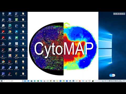 シンフォダスメロプス