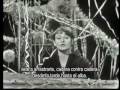 Le temps du Lilas -Barbara- Subtitulada 