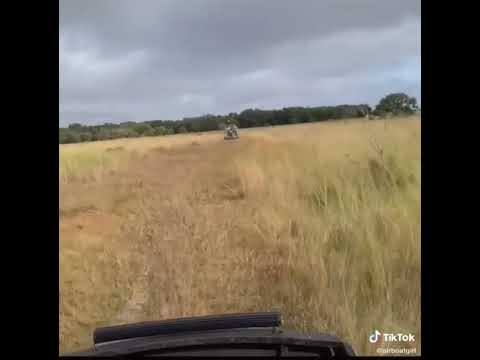 @dbairboats runnin dry ground behind the Milk Bus
