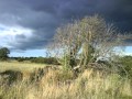 The Occasional Keepers - The Life of the Fields