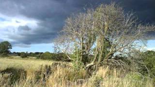 The Occasional Keepers - The Life of the Fields