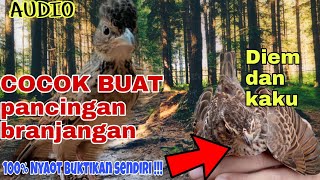 Download lagu AUDIO MASTERAN BRANJANGAN JAWA - AUDIO TERAPI SUARA BRANJANGAN MALES BUNYI 1 JAM mp3 Download lagu AUDIO MASTERAN BRANJANGAN JAWA - AUDIO TERAPI SUARA BRANJANGAN MALES BUNYI 1 JAM mp3