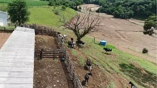 Miniatura do vídeo