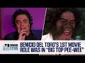 How Benicio Del Toro Got His 1st Movie Role In Big Top Pee Wee 2010