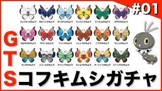 【ポケモンUSUM】GTSコフキムシガチャ#01