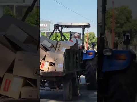 MONTE MAIZ: Esquema de recolección de cartones.