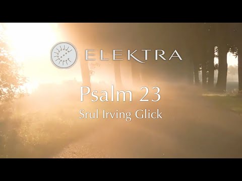 Psalm 23 from Psalm Trilogy by Srul Irving Glick performed by Elektra