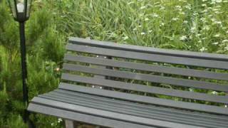 Ein Sommer mit Marie---- GRAHAM BONNEY