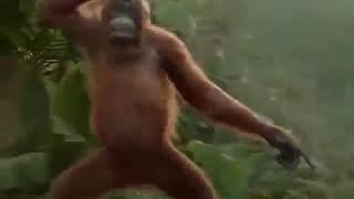 Download lagu Machelo ndi mundende(madlipz in venda) mp3