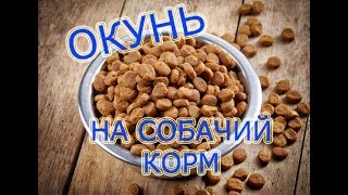 Собачий корм как прикормка на рыбалке